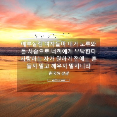 Picture 05 - 아가 3:5 KOR - 예루살렘 여자들아 내가 노루와 들 - Bible Verse Picture
