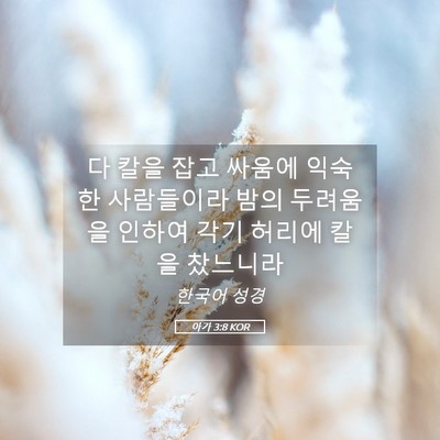 Picture 05 - 아가 3:8 KOR - 다 칼을 잡고 싸움에 익숙한 - Bible Verse Picture