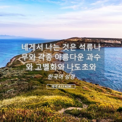 Picture 05 - 아가 4:13 KOR - 네게서 나는 것은 석류나무와 각종 - Bible Verse Picture