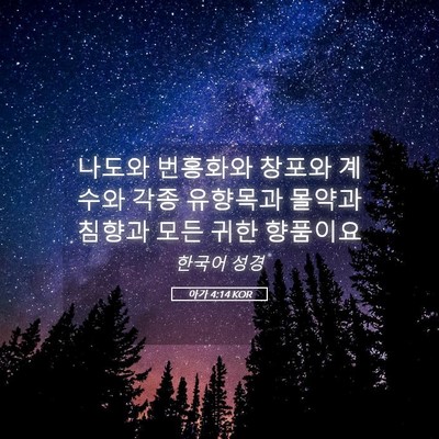 Picture 05 - 아가 4:14 KOR - 나도와 번홍화와 창포와 계수와 각종 - Bible Verse Picture