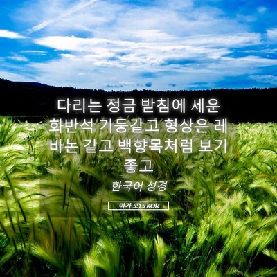 Picture 05 - 아가 5:15 KOR - 다리는 정금 받침에 세운 화반석 - Bible Verse Picture