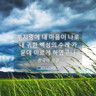 Picture 05 - 아가 6:12 KOR - 부지중에 내 마음이 나로 내 귀한 - Bible Verse Picture