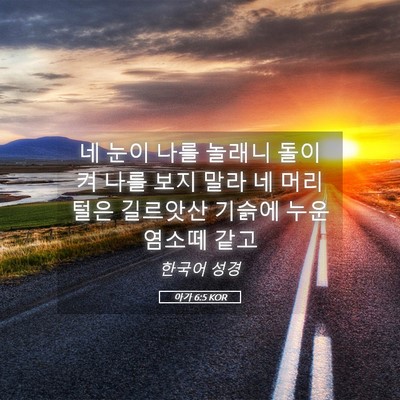 Picture 05 - 아가 6:5 KOR - 네 눈이 나를 놀래니 돌이켜 나를 - Bible Verse Picture