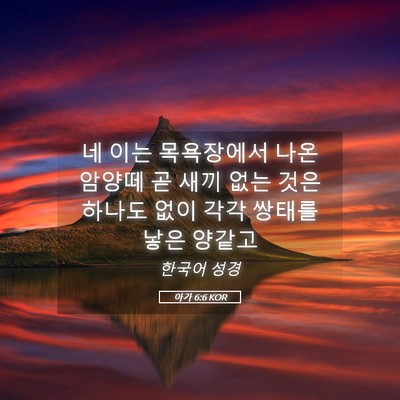 Picture 05 - 아가 6:6 KOR - 네 이는 목욕장에서 나온 암양떼 곧 - Bible Verse Picture