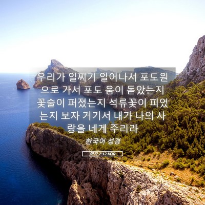 Picture 05 - 아가 7:12 KOR - 우리가 일찌기 일어나서 포도원으로 - Bible Verse Picture