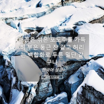 Picture 05 - 아가 7:2 KOR - 배꼽은 섞은 포도주를 가득히 부은 - Bible Verse Picture