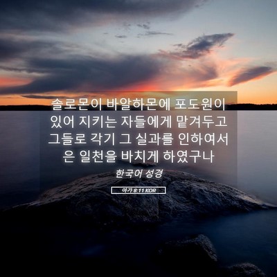 Picture 05 - 아가 8:11 KOR - 솔로몬이 바알하몬에 포도원이 있어 - Bible Verse Picture