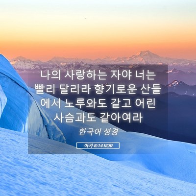 Picture 05 - 아가 8:14 KOR - 나의 사랑하는 자야 너는 빨리 - Bible Verse Picture