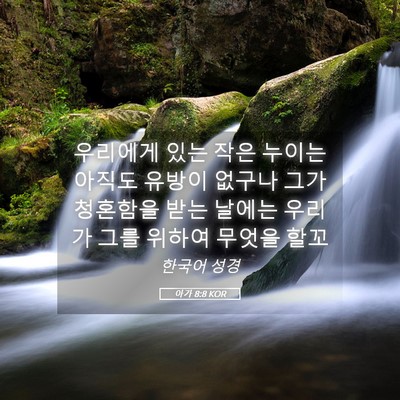 Picture 05 - 아가 8:8 KOR - 우리에게 있는 작은 누이는 아직도 - Bible Verse Picture