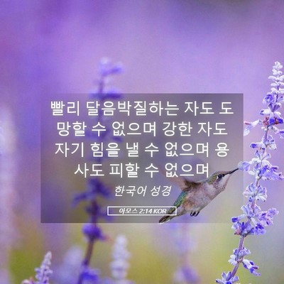 Picture 05 - 아모스 2:14 KOR - 빨리 달음박질하는 자도 도망할 수 - Bible Verse Picture
