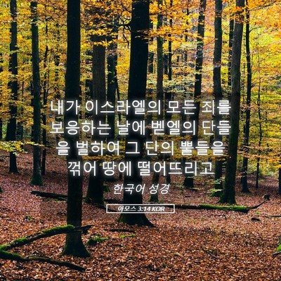 Picture 05 - 아모스 3:14 KOR - 내가 이스라엘의 모든 죄를 보응하는 - Bible Verse Picture