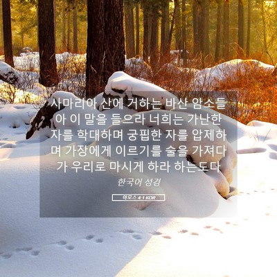 Picture 05 - 아모스 4:1 KOR - 사마리아 산에 거하는 바산 암소들아 - Bible Verse Picture