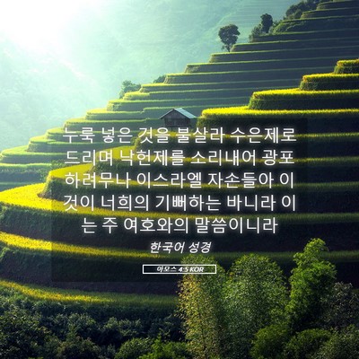 Picture 05 - 아모스 4:5 KOR - 누룩 넣은 것을 불살라 수은제로 - Bible Verse Picture