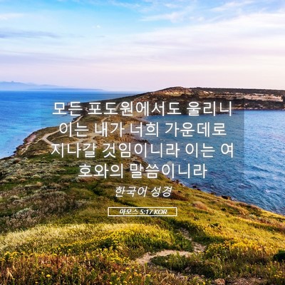 Picture 05 - 아모스 5:17 KOR - 모든 포도원에서도 울리니 이는 내가 - Bible Verse Picture