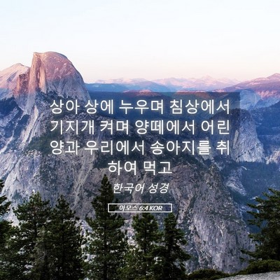 Picture 05 - 아모스 6:4 KOR - 상아 상에 누우며 침상에서 기지개 - Bible Verse Picture