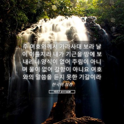 Picture 05 - 아모스 8:11 KOR - 주 여호와께서 가라사대 보라 날이 - Bible Verse Picture