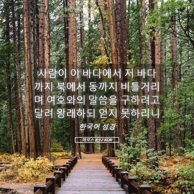 Picture 05 - 아모스 8:12 KOR - 사람이 이 바다에서 저 바다까지 - Bible Verse Picture