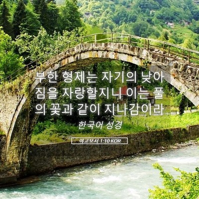 Picture 05 - 야고보서 1:10 KOR - 부한 형제는 자기의 낮아짐을 - Bible Verse Picture