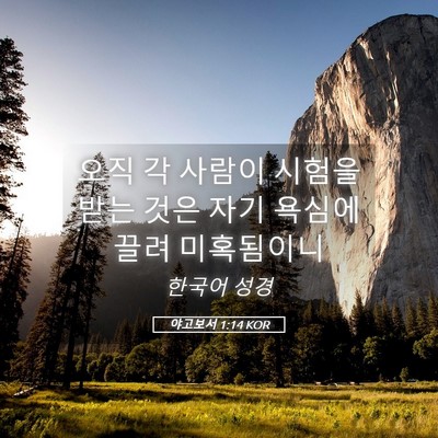 Picture 05 - 야고보서 1:14 KOR - 오직 각 사람이 시험을 받는 것은 - Bible Verse Picture