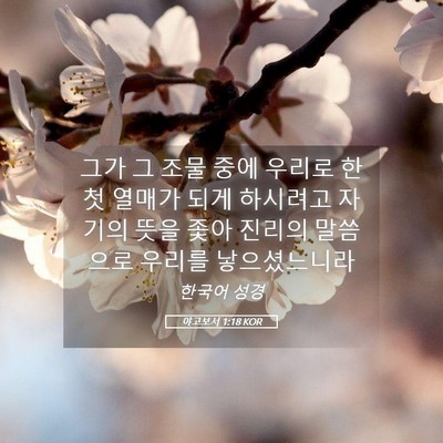 Picture 05 - 야고보서 1:18 KOR - 그가 그 조물 중에 우리로 한 첫 - Bible Verse Picture