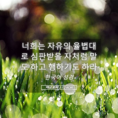 Picture 05 - 야고보서 2:12 KOR - 너희는 자유의 율법대로 심판받을 - Bible Verse Picture