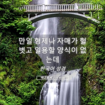 Picture 05 - 야고보서 2:15 KOR - 만일 형제나 자매가 헐벗고 일용할 - Bible Verse Picture