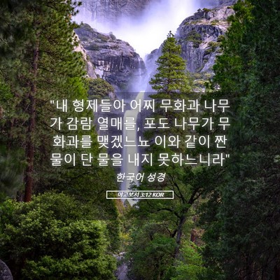 Picture 05 - 야고보서 3:12 KOR - 