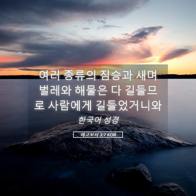 Picture 05 - 야고보서 3:7 KOR - 여러 종류의 짐승과 새며 벌레와 - Bible Verse Picture