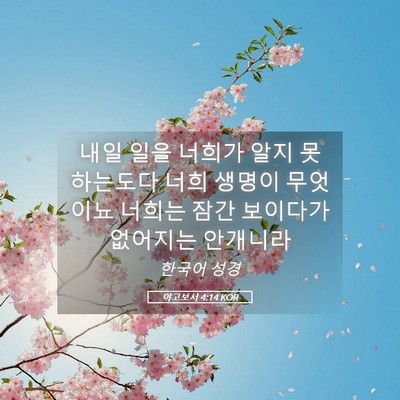 Picture 05 - 야고보서 4:14 KOR - 내일 일을 너희가 알지 못하는도다 - Bible Verse Picture