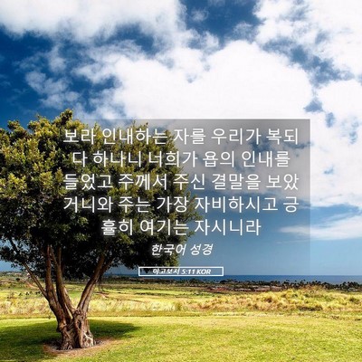 Picture 05 - 야고보서 5:11 KOR - 보라 인내하는 자를 우리가 복되다 - Bible Verse Picture