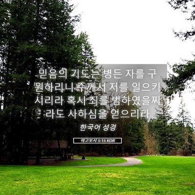 Picture 05 - 야고보서 5:15 KOR - 믿음의 기도는 병든 자를 구원하리니 - Bible Verse Picture