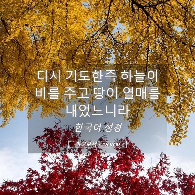 Picture 05 - 야고보서 5:18 KOR - 디시 기도한즉 하늘이 비를 주고 - Bible Verse Picture
