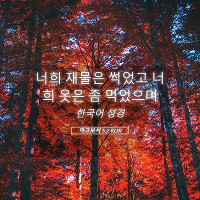 Picture 05 - 야고보서 5:2 KOR - 너희 재물은 썩었고 너희 옷은 좀 - Bible Verse Picture
