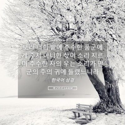 Picture 05 - 야고보서 5:4 KOR - 보라 너희 밭에 추수한 품군에게 - Bible Verse Picture