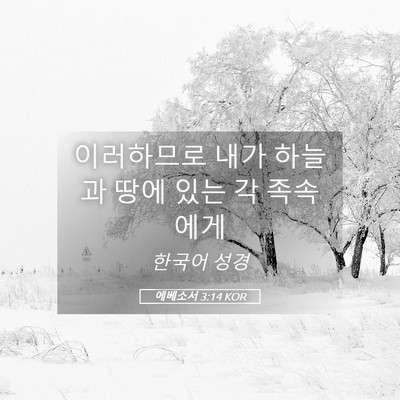 Picture 05 - 에베소서 3:14 KOR - 이러하므로 내가 하늘과 땅에 있는 - Bible Verse Picture