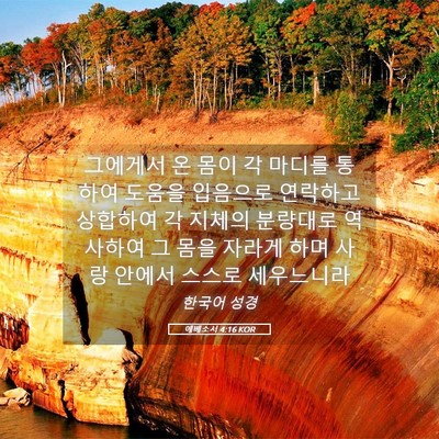 Picture 05 - 에베소서 4:16 KOR - 그에게서 온 몸이 각 마디를 통하여 - Bible Verse Picture