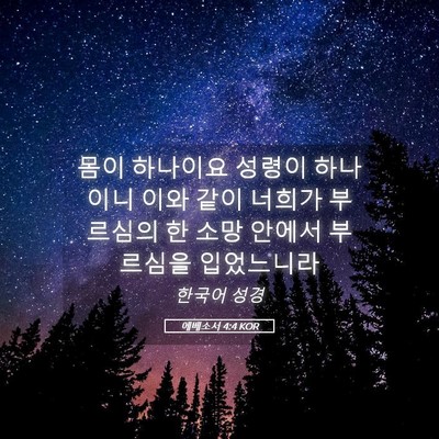 Picture 05 - 에베소서 4:4 KOR - 몸이 하나이요 성령이 하나이니 이와 - Bible Verse Picture