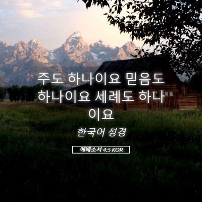 Picture 05 - 에베소서 4:5 KOR - 주도 하나이요 믿음도 하나이요 - Bible Verse Picture