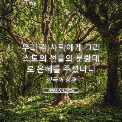 Picture 05 - 에베소서 4:7 KOR - 우리 각 사람에게 그리스도의 선물의 - Bible Verse Picture