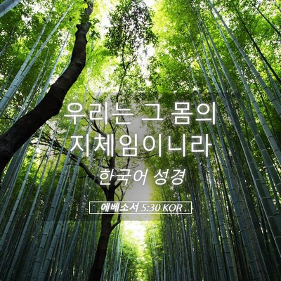 Picture 05 - 에베소서 5:30 KOR - 우리는 그 몸의 - Bible Verse Picture