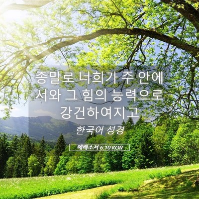 Picture 05 - 에베소서 6:10 KOR - 종말로 너희가 주 안에서와 그 힘의 - Bible Verse Picture