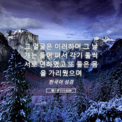 Picture 05 - 에스겔 1:11 KOR - 그 얼굴은 이러하며 그 날개는 들어 - Bible Verse Picture