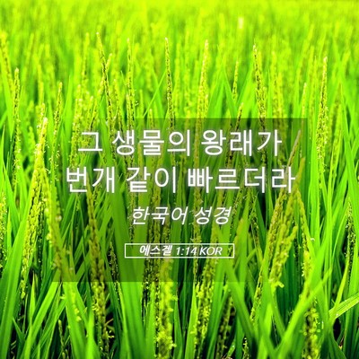 Picture 05 - 에스겔 1:14 KOR - 그 생물의 왕래가 번개 같이 - Bible Verse Picture