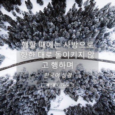 Picture 05 - 에스겔 1:17 KOR - 행할 때에는 사방으로 향한 대로 - Bible Verse Picture