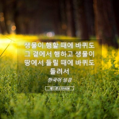 Picture 05 - 에스겔 1:19 KOR - 생물이 행할 때에 바퀴도 그 곁에서 - Bible Verse Picture