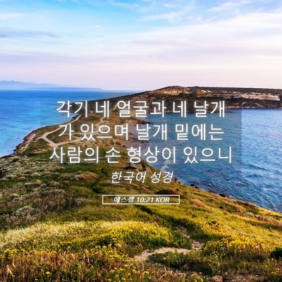 Picture 05 - 에스겔 10:21 KOR - 각기 네 얼굴과 네 날개가 있으며 - Bible Verse Picture