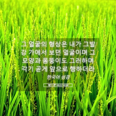 Picture 05 - 에스겔 10:22 KOR - 그 얼굴의 형상은 내가 그발강 - Bible Verse Picture