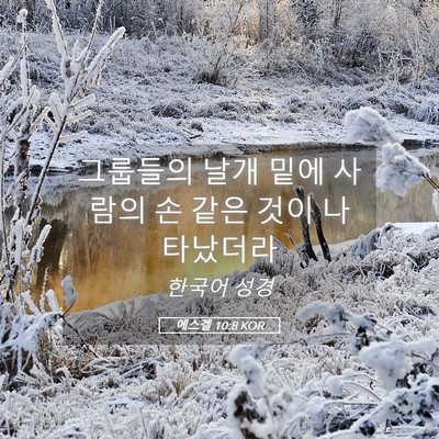 Picture 05 - 에스겔 10:8 KOR - 그룹들의 날개 밑에 사람의 손 같은 - Bible Verse Picture