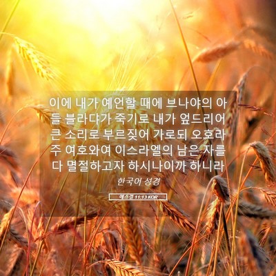 Picture 05 - 에스겔 11:13 KOR - 이에 내가 예언할 때에 브나야의 - Bible Verse Picture