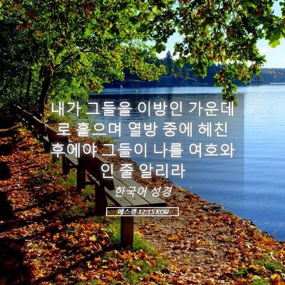 Picture 05 - 에스겔 12:15 KOR - 내가 그들을 이방인 가운데로 흩으며 - Bible Verse Picture